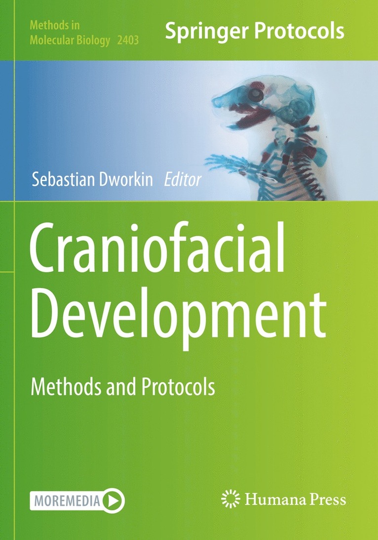 Sebastian Dworkin - Craniofacial Development, Häftad