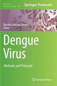 bokomslag Dengue Virus