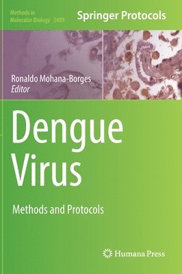 Dengue Virus 1