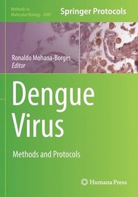 bokomslag Dengue Virus