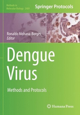 Dengue Virus 1