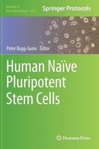 bokomslag Human Nave Pluripotent Stem Cells