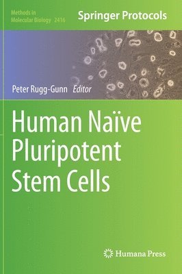 Human Nave Pluripotent Stem Cells 1