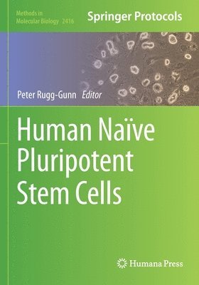 Human Nave Pluripotent Stem Cells 1