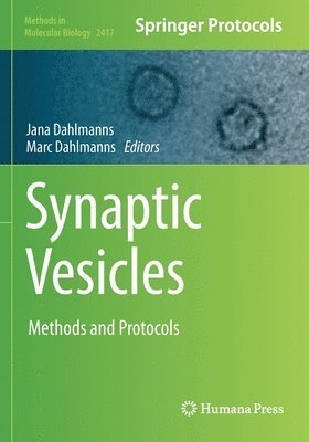 Synaptic Vesicles 1