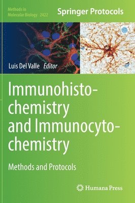 bokomslag Immunohistochemistry and Immunocytochemistry