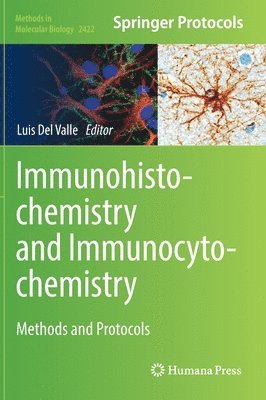Luis Del Valle, Luis del Valle - Immunohistochemistry and Immunocytochemistry, Inbunden
