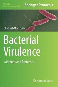 bokomslag Bacterial Virulence