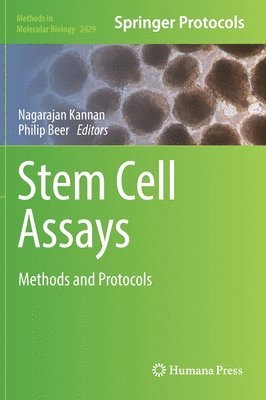 Stem Cell Assays 1