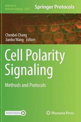 Cell Polarity Signaling 1