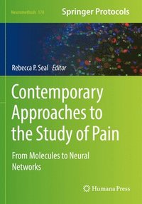 bokomslag Contemporary Approaches to the Study of Pain