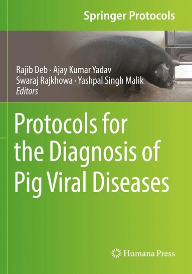Rajib Deb, Ajay Kumar Yadav, Swaraj Rajkhowa, Yashpal Singh Malik - Protocols for the Diagnosis of Pig Viral Diseases, Häftad