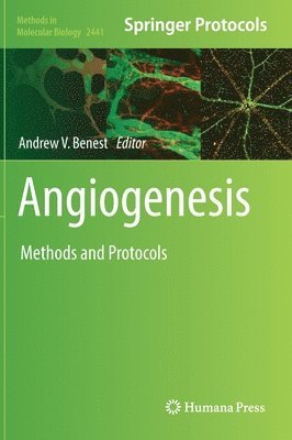 bokomslag Angiogenesis