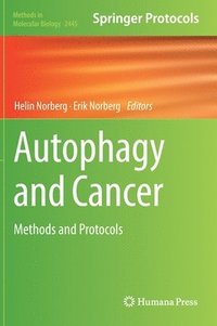bokomslag Autophagy and Cancer