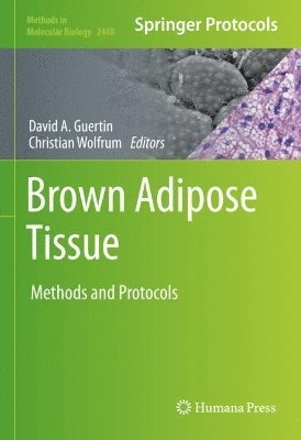 bokomslag Brown Adipose Tissue