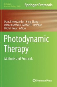 bokomslag Photodynamic Therapy