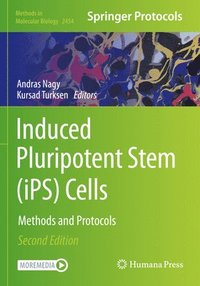 bokomslag Induced Pluripotent Stem (iPS) Cells
