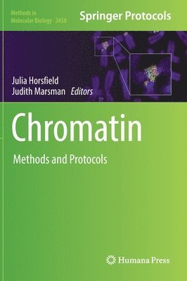 Chromatin 1