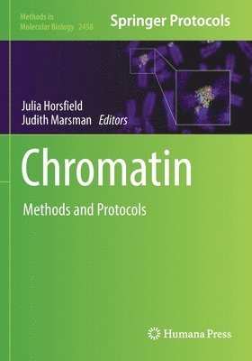 Chromatin 1