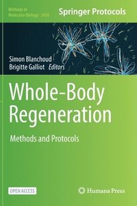 bokomslag Whole-Body Regeneration