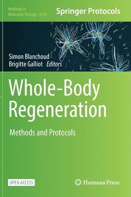 bokomslag Whole-Body Regeneration