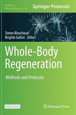 Whole-Body Regeneration 1