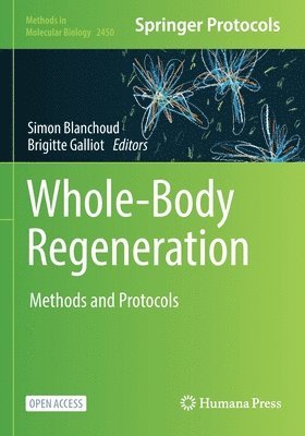 Whole-Body Regeneration 1