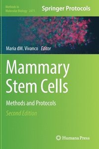bokomslag Mammary Stem Cells