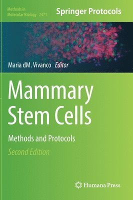Mammary Stem Cells 1
