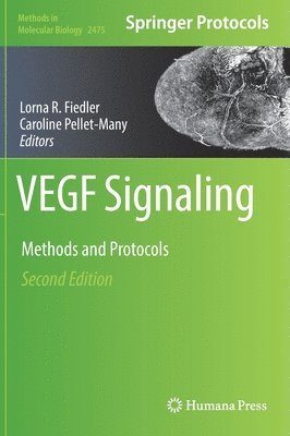 bokomslag VEGF Signaling