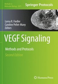 bokomslag VEGF Signaling