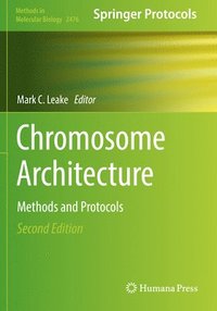 bokomslag Chromosome Architecture