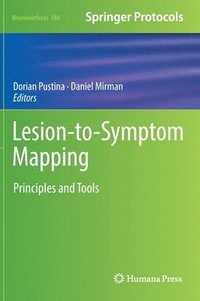 bokomslag Lesion-to-Symptom Mapping