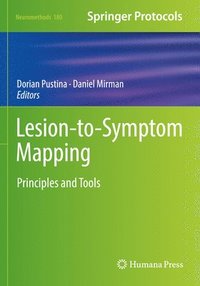 bokomslag Lesion-to-Symptom Mapping