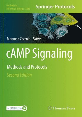 bokomslag cAMP Signaling