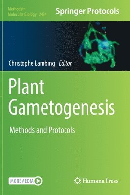 bokomslag Plant Gametogenesis