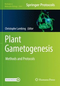 bokomslag Plant Gametogenesis