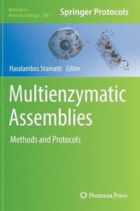 bokomslag Multienzymatic Assemblies