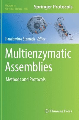 Multienzymatic Assemblies