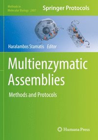 bokomslag Multienzymatic Assemblies