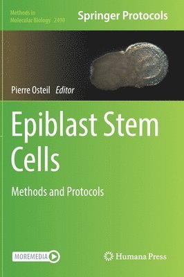 bokomslag Epiblast Stem Cells