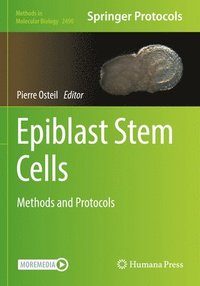 bokomslag Epiblast Stem Cells