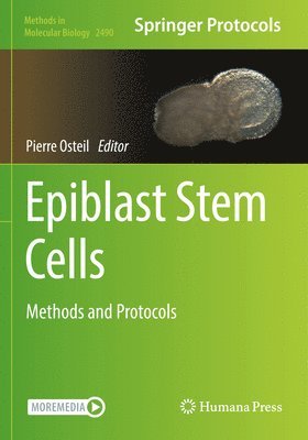 Epiblast Stem Cells 1