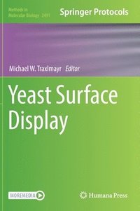 bokomslag Yeast Surface Display