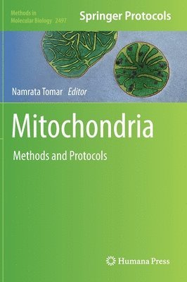 Mitochondria 1