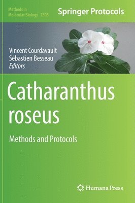bokomslag Catharanthus roseus