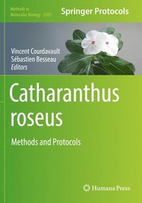 bokomslag Catharanthus roseus