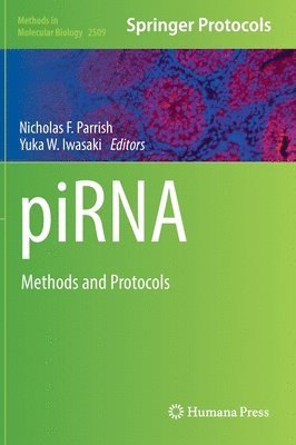 piRNA 1