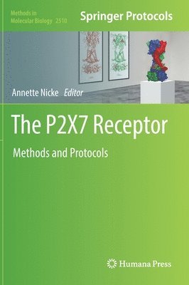 bokomslag P2X7 Receptor