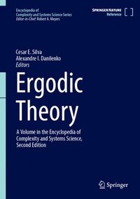 bokomslag Ergodic Theory